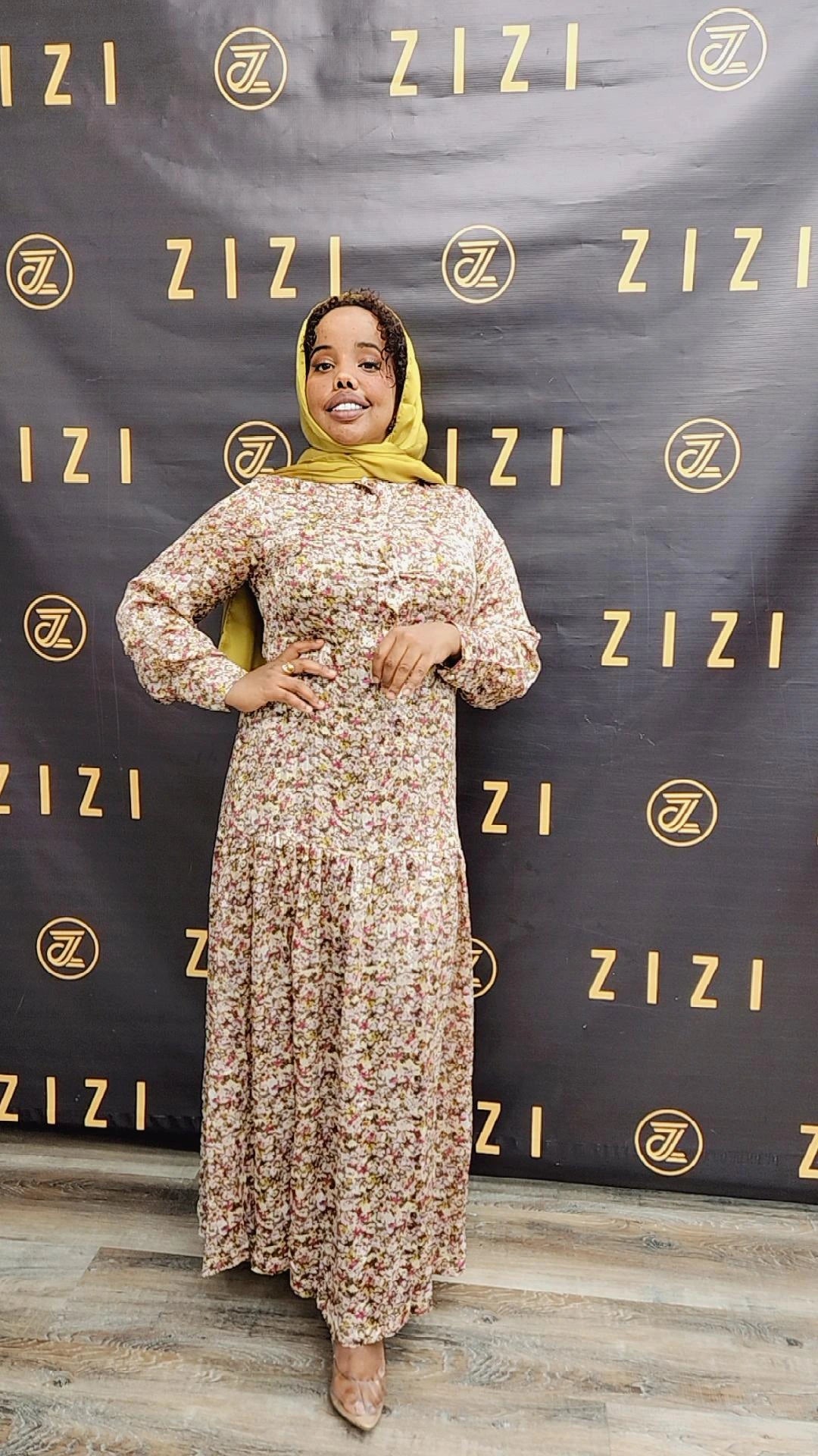 Zahra Chiffon Print Dress